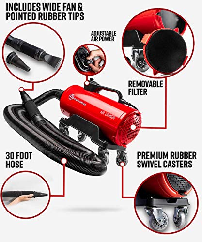 Adam's Air Cannon Car Dryer Blower