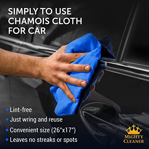 Mighty Cleaner Premium Shammy Towel + Storage Case - 26"x17"