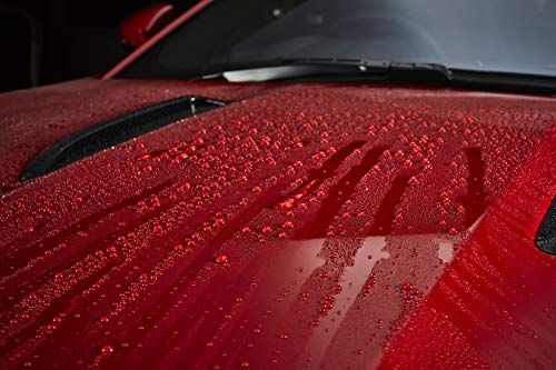 Gtechniq - EXO Ultra Durable Hydrophobic Coating v4