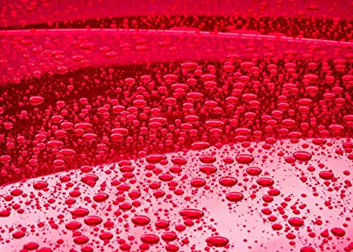 CARPRO Reload Spray Sealant with Sio2 (Quartz)