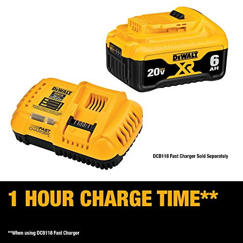 DEWALT 20V MAX Battery, Premium 6.0Ah Double Pack (DCB206-2)