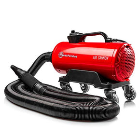 Adam's Air Cannon Car Dryer Blower